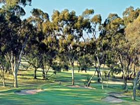 Tanunda Pines Golf Club - Attractions Perth 0