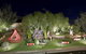 Christmas Riverbank Display - thumb 0