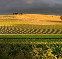 Kellermeister Wines - Attractions Perth