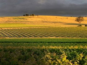 Kellermeister Wines - Attractions Perth 0