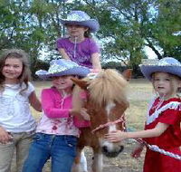 Amberainbow Pony Rides - Attractions Perth