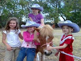 Amberainbow Pony Rides - Attractions Perth 0