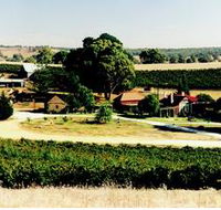 Irvine Wines - Attractions Perth