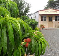 Gully Gardens - Attractions Perth