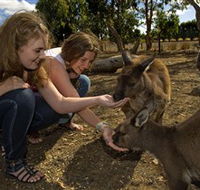 Kangaroo Island Wildlife Park - Attractions Perth