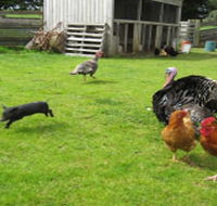Echo Farm - Attractions Perth