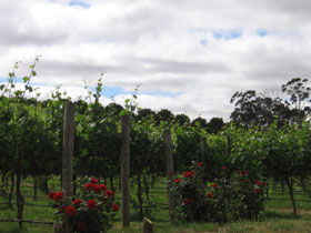  Attractions Perth