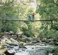 Arve Forest Drive - Attractions Perth