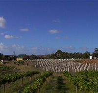 Deep Creek Wines and Alpacas - Attractions Perth