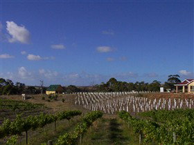 Deep Creek Wines And Alpacas - Attractions Perth 0