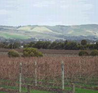 Mclaren Vale Premium Wines - Attractions Perth