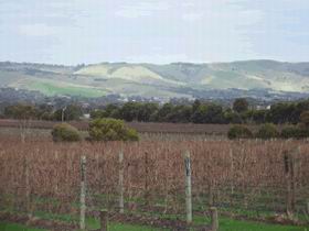 Mclaren Vale Premium Wines - Attractions Perth 0