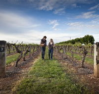 Coonawarra Wineries Walking Trail - Attractions Perth