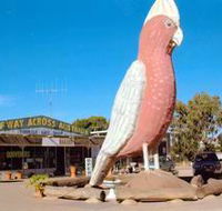 The Big Galah - Attractions Perth