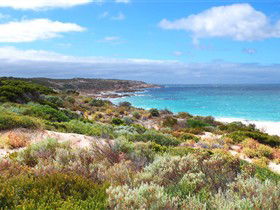 Marion Bay SA Attractions Perth