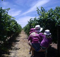 McLaren Vale Orchards - Attractions Perth