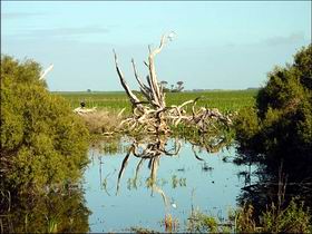 Attractions Perth