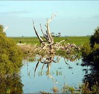 Bool Lagoon Game Reserve and Hacks Lagoon Conservation Park - Attractions Perth