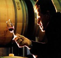 Salena Estate Wines - Attractions Perth