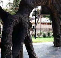 Old Gum Tree - Attractions Perth