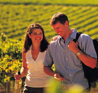 Tinlins Wines Pty Ltd - Attractions Perth