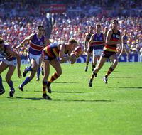 AAMI Stadium Tours - Attractions Perth