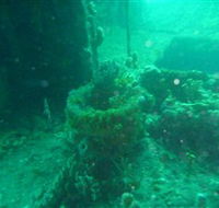 Wallaroo Scuba Club - Attractions Perth