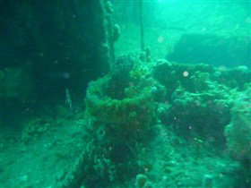 Wallaroo Scuba Club - Attractions Perth 0