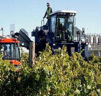 Ballast Stone Estate Wines Pty Ltd - Attractions Perth