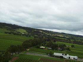 Kangarilla Road Vineyard And Winery - Attractions Perth 0