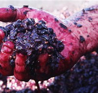 Rusden Wines - Attractions Perth