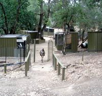 Humbug Scrub Wildlife Sanctuary - Attractions Perth