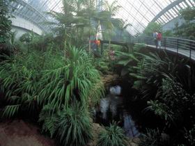 Bicentennial Conservatory - Attractions Perth 0