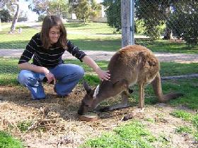 Pendleton Farmstay - Attractions Perth 0