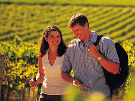 Lady Bay Vineyard - Attractions Perth 0