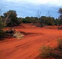 Tallaringa Conservation Park - Attractions Perth