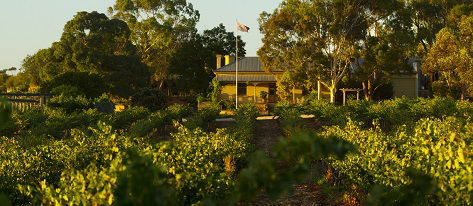 Greenock Creek Wines - Attractions Perth 2