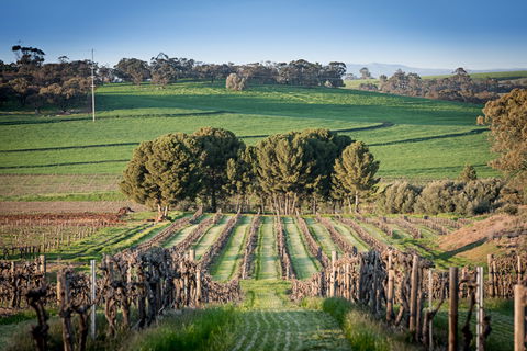 Heritage Wines - Attractions Perth 1