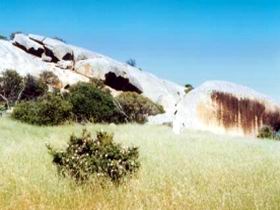 Ucontitchie Hill - Attractions Perth 0