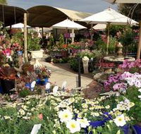Serenity Nursery - Attractions Perth