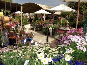 Serenity Nursery - Attractions Perth 0
