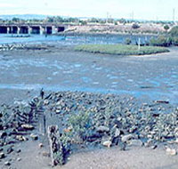 Jervois Basin Ships' Graveyard - Attractions Perth