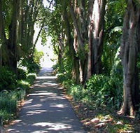Adelaide Botanic Garden - Attractions Perth