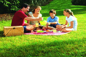  Attractions Perth