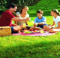 Bruny Island Berry Farm - Attractions Perth