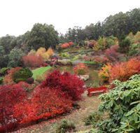 Emu Valley Rhododendron Garden - Attractions Perth