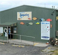 Stanley Seaquarium - Attractions Perth