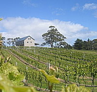 Bruny Island Premium Wines Bar and Grill - Attractions Perth