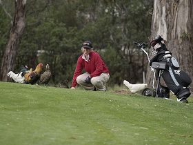 Tasmania Golf Club - The - Attractions Perth 0