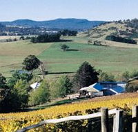 Freycinet Vineyards Pty Ltd - Attractions Perth